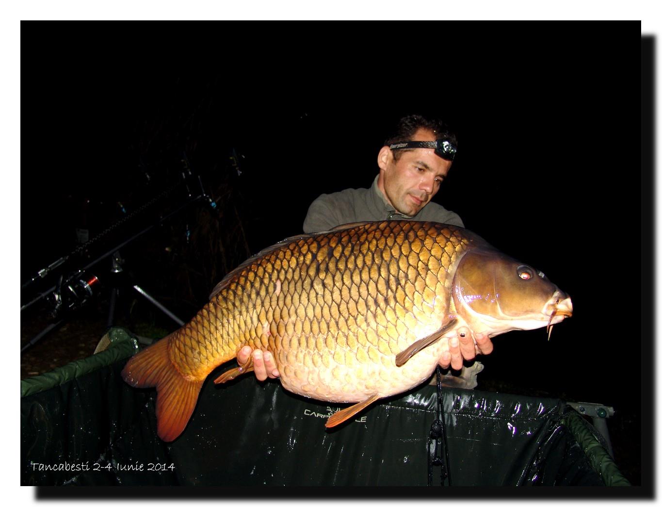 1-4 iunie tancabesti - dsc00291.jpg